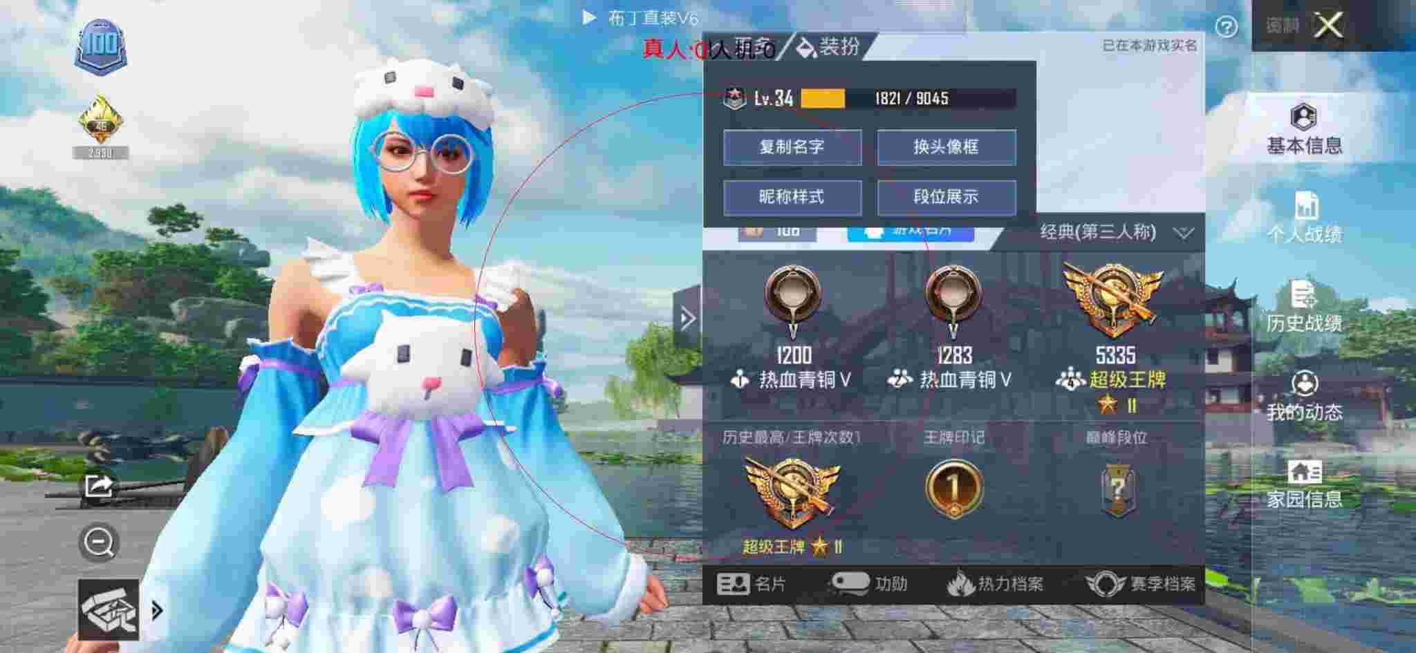 和平精英布丁直装透视 - 和平辅助店卡包装修效果图辅助预览图